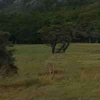 Rundreise Südamerika – Chile und Argentinien Santiago de Chile – Atacama-Wüste – Valparaiso – Punta Arenas – Torres del Paine – Perito Moreno-Gletscher – Buenos Aires (622)