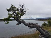 Rundreise Südamerika – Chile und Argentinien Santiago de Chile – Atacama-Wüste – Valparaiso – Punta Arenas – Torres del Paine – Perito Moreno-Gletscher – Buenos Aires (731)