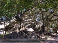 Rundreise Südamerika – Chile und Argentinien Santiago de Chile – Atacama-Wüste – Valparaiso – Punta Arenas – Torres del Paine – Perito Moreno-Gletscher – Buenos Aires (1098)