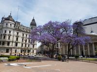 Rundreise Südamerika – Chile und Argentinien Santiago de Chile – Atacama-Wüste – Valparaiso – Punta Arenas – Torres del Paine – Perito Moreno-Gletscher – Buenos Aires (1244)