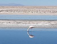 Rundreise Südamerika – Chile und Argentinien Santiago de Chile – Atacama-Wüste – Valparaiso – Punta Arenas – Torres del Paine – Perito Moreno-Gletscher – Buenos Aires (1254)