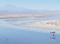 Rundreise Südamerika – Chile und Argentinien Santiago de Chile – Atacama-Wüste – Valparaiso – Punta Arenas – Torres del Paine – Perito Moreno-Gletscher – Buenos Aires (1256)