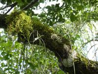 05_Nationalpark Iguazú (4)