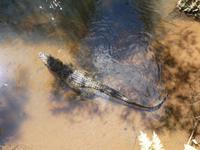 05_Nationalpark Iguazú (17)