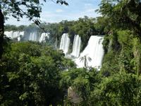 05_Nationalpark Iguazú (18)