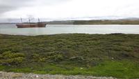 12_Falklandinseln (15)