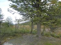 Nationalpark Feuerland