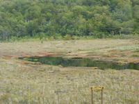 Nationalpark Feuerland