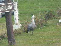 Nationalpark Feuerland