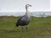 Nationalpark Feuerland