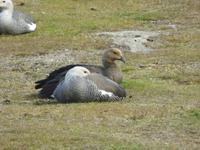 Nationalpark Feuerland
