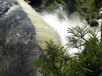 Iguazu Wasserfälle