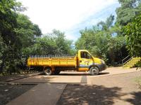 LKW für Dschungeltour