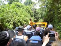 LKW für Dschungeltour