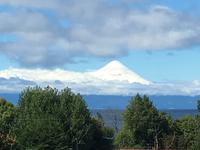 Osorno