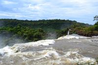 Iguazú-Wasserfälle (argentinische Seite)