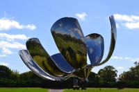 Floralis Genérica in Buenos Aires