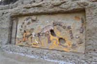 Puerto Pirámides - Fossilien