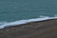 See-Elefanten auf der Península Valdés