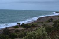 Seelöwenkolonie auf der Península Valdés