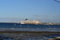 Die Norwegian Sun im Hafen von Puerto Madryn