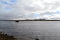 Schiffswrack vor Stanley