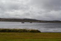 Die Tenderboote der Norwegian Sun