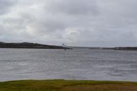 Die Norwegian Sun ankert vor Stanley