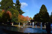 Stadtzentrum von Coyhaique