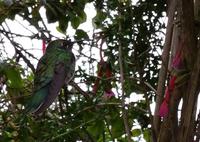 Rundreise Südamerika - Die Vielfalt Lateinamerikas entdecken Peru, Bolivien, Chile, Argentinien, Urugay und Brasilien (54)