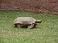 Rundreise Südamerika - Die Vielfalt Lateinamerikas entdecken Peru, Bolivien, Chile, Argentinien, Urugay und Brasilien (79)