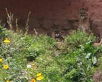 Rundreise Südamerika - Die Vielfalt Lateinamerikas entdecken Peru, Bolivien, Chile, Argentinien, Urugay und Brasilien (94)