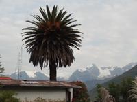 Rundreise Südamerika - Die Vielfalt Lateinamerikas entdecken Peru, Bolivien, Chile, Argentinien, Urugay und Brasilien (120)