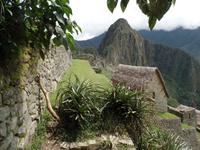 Rundreise Südamerika - Die Vielfalt Lateinamerikas entdecken Peru, Bolivien, Chile, Argentinien, Urugay und Brasilien (134)