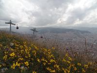 Rundreise Südamerika - Die Vielfalt Lateinamerikas entdecken Peru, Bolivien, Chile, Argentinien, Urugay und Brasilien (298)