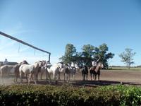 Rundreise Südamerika - Die Vielfalt Lateinamerikas entdecken Peru, Bolivien, Chile, Argentinien, Urugay und Brasilien (456)