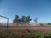 Rundreise Südamerika - Die Vielfalt Lateinamerikas entdecken Peru, Bolivien, Chile, Argentinien, Urugay und Brasilien (458)