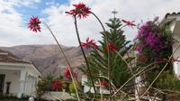 Valle Sagrado (11)