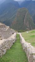 Machupicchu (39)