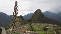 Machupicchu (46)