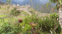 Machupicchu (67)