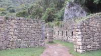 Machupicchu (111)