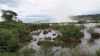 Iguazu Argentinien (17)
