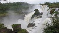 Iguazu Argentinien (57)