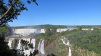 Iguazu Brasilien (7)