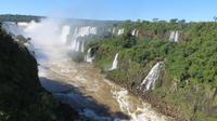 Iguazu Brasilien (12)
