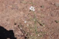 Wanderung im Marstal