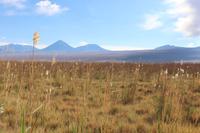 In der Atacama-Wüste