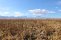 In der Atacama-Wüste