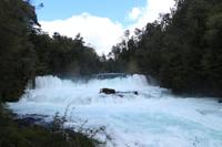 Wanderung im Huilo Huilo Reservat